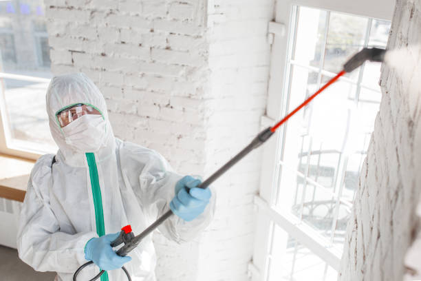 Best Post-Construction Mold Inspection  in Anthem, AZ