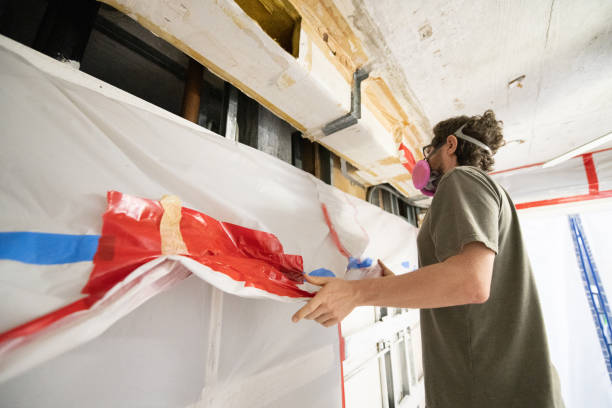 Trusted Anthem, AZ Mold Removal Experts