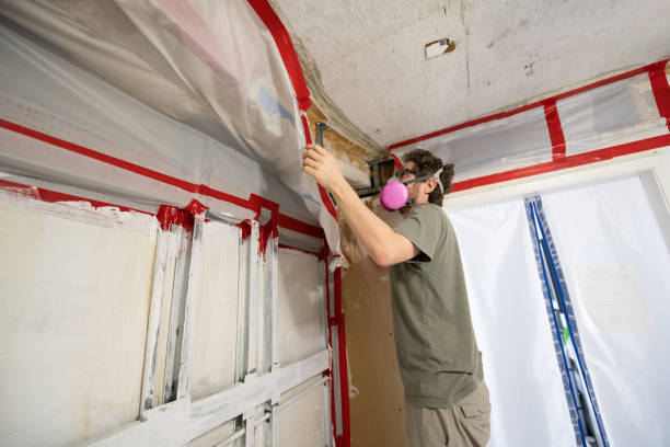 Best Commercial Mold Inspection  in Anthem, AZ