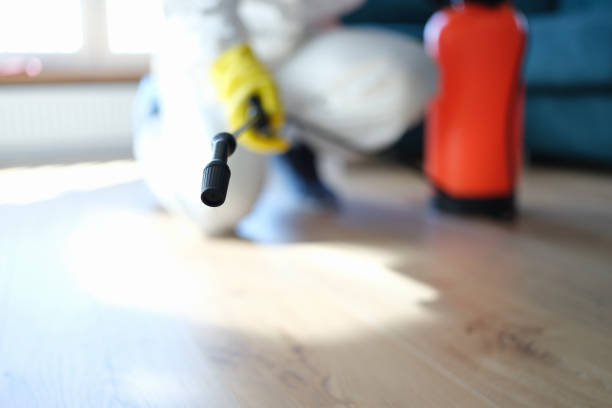 Best Forensic Mold Investigation  in Anthem, AZ